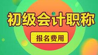 2020年初级会计考试报名费用