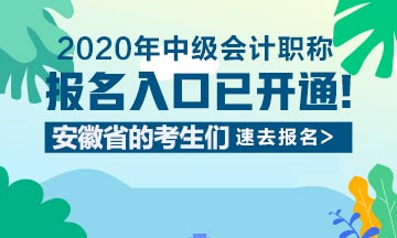 2020年安徽省中级会计职称考试报名入口已开通,快来报名!