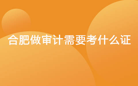 合肥做审计需要考什么证