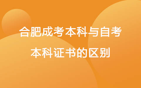 合肥成考本科与自考本科证书的区别