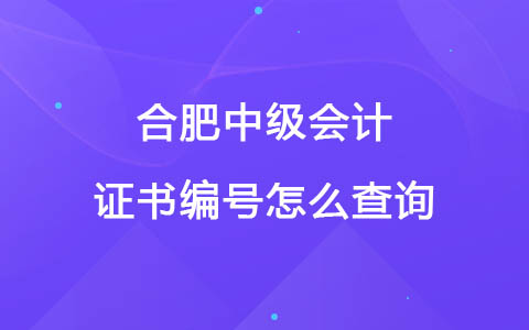 合肥中级会计证书编号怎么查询