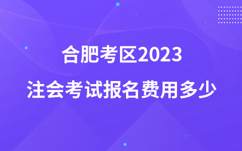 合肥考区2023注会考试报名费用多少