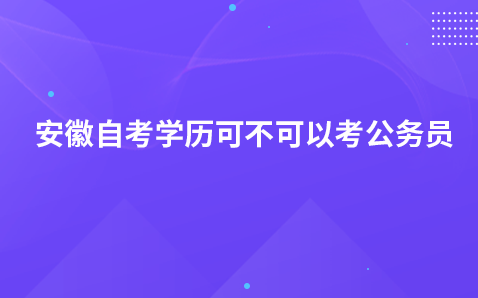 安徽自考学历可不可以考公务员